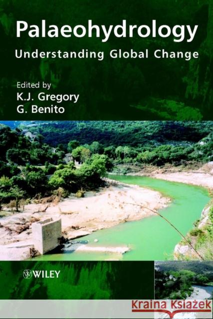 Palaeohydrology: Understanding Global Change Gregory, K. J. 9780470847398 John Wiley & Sons