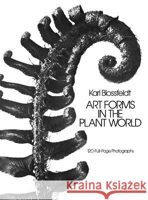 Art Forms in the Plant World Karl Blossfeldt 9780486249902 Dover Publications Inc.