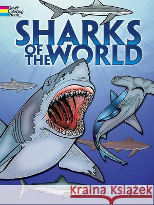 Sharks of the World Coloring Book Llyn Hunter 9780486261379 Dover Publications