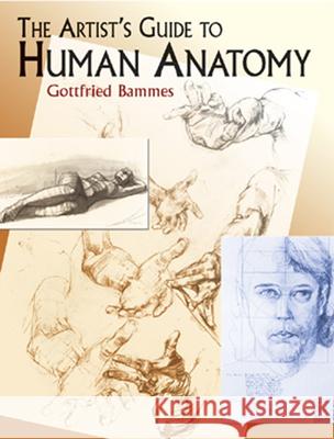 The Artist's Guide to Human Anatomy Gottfried Bammes 9780486436418 Dover Publications