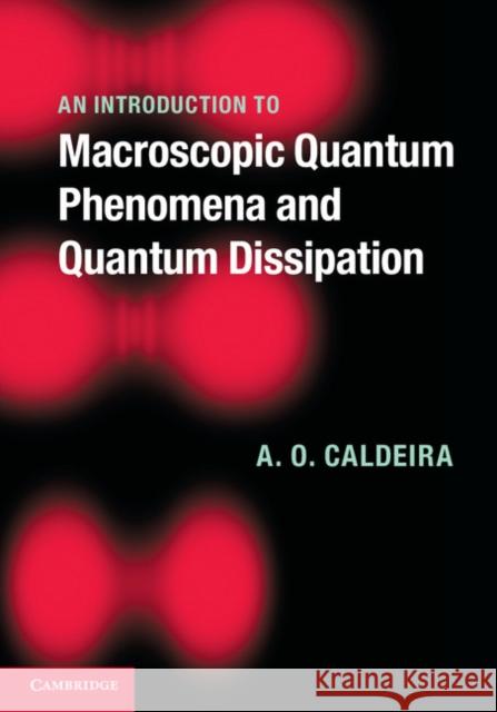 An Introduction to Macroscopic Quantum Phenomena and Quantum Dissipation A  O Caldeira 9780521113755 CAMBRIDGE UNIVERSITY PRESS