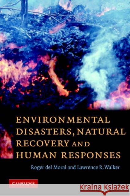 Environmental Disasters, Natural Recovery and Human Responses Roger De Lawrence R. Walker 9780521677660 Cambridge University Press