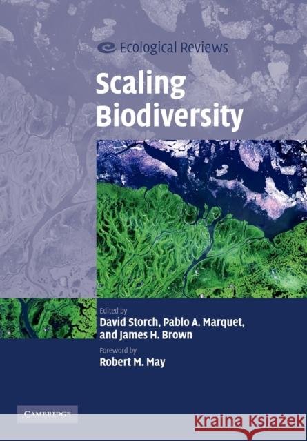 Scaling Biodiversity David Storch Pablo A. Marquet James H. Brown 9780521699372 Cambridge University Press