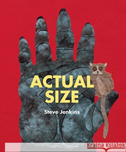 Actual Size Steve Jenkins 9780547512914 Houghton Mifflin Harcourt (HMH)