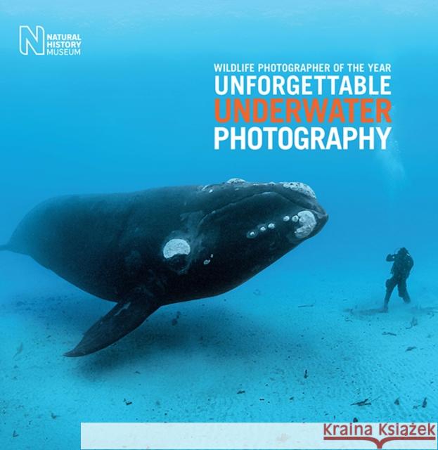 Wildlife Photographer of the Year: Unforgettable Underwater Photography Rosamund Kidma 9780565094560 Natural History Museum, London