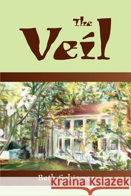 The Veil Beth Schiemer 9780595263219 Writer's Showcase Press