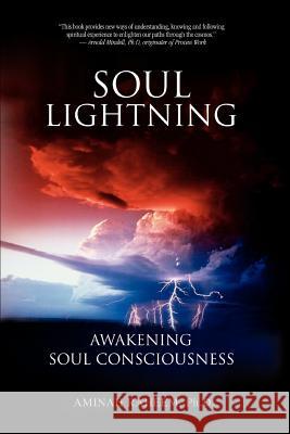 Soul Lightning: Awakening Soul Consciousness Raheem, Aminah 9780595348114 iUniverse