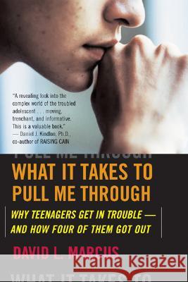 What It Takes to Pull Me Through: Why Teenagers Get in Trouble and How Four of Them Got Out David L. Marcus 9780618772025 Houghton Mifflin Company