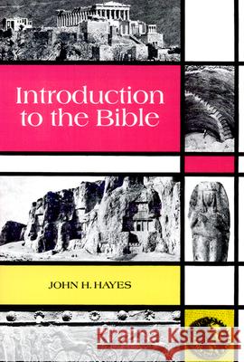 Introduction to the Bible John Haralson Hayes John Haralson Hayes 9780664248833 Westminster John Knox Press