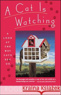 A Cat is Watching: A Look at the Way Cats See Us Roger A Caras 9780671724436 Simon & Schuster
