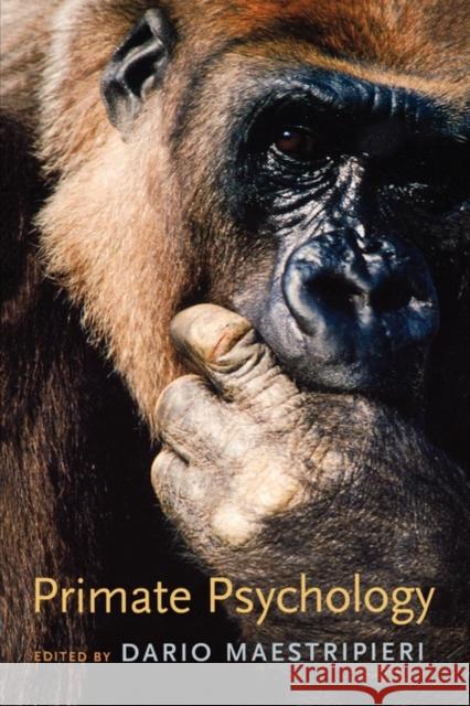Primate Psychology Dario Maestripieri 9780674018471 Harvard University Press