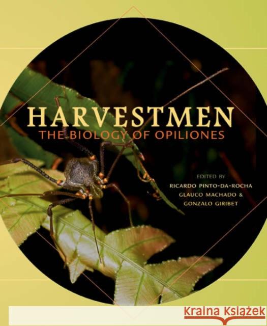 Harvestmen: The Biology of Opiliones Pinto-Da-Rocha, Ricardo 9780674023437 Harvard University Press