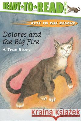 Dolores and the Big Fire: Dolores and the Big Fire (Ready-To-Read Level 1) Clements, Andrew 9780689834400 Aladdin Paperbacks
