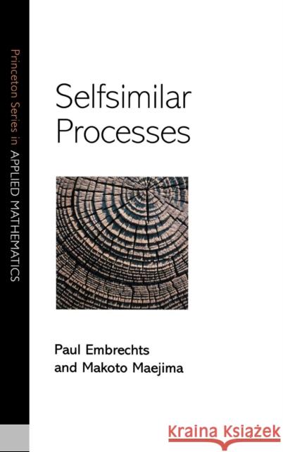 Selfsimilar Processes Paul Embrechts 9780691096278 Princeton University Press