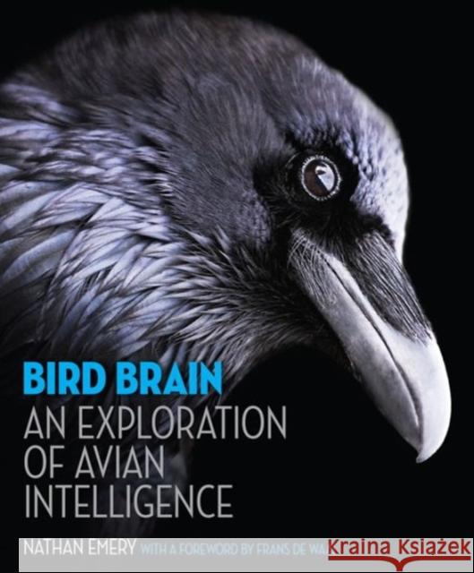 Bird Brain: An Exploration of Avian Intelligence Nathan Emery Frans d 9780691165172 Princeton University Press