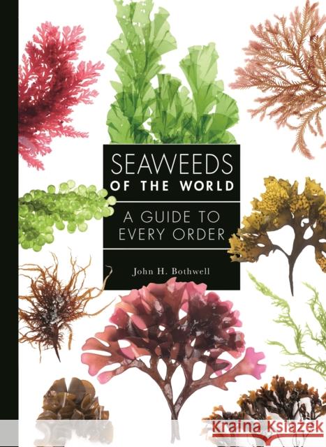 Seaweeds of the World: A Guide to Every Order Bothwell, John 9780691228549 Princeton University Press