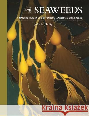 The Lives of Seaweeds: A Natural History of Our Planet's Seaweeds and Other Algae Phillips, Julie A. 9780691228556 Princeton University Press