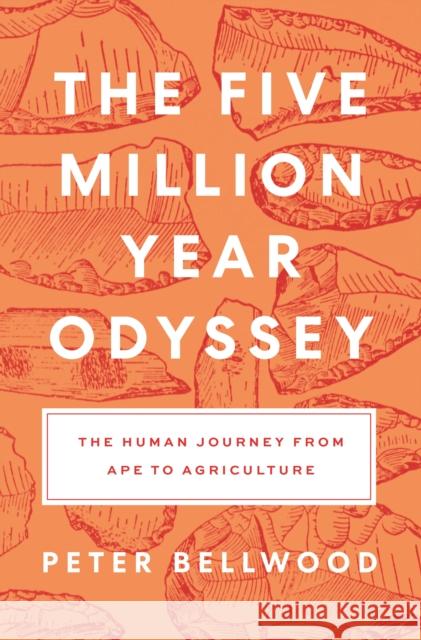 The Five-Million-Year Odyssey: The Human Journey from Ape to Agriculture Peter Bellwood 9780691258812 Princeton University Press
