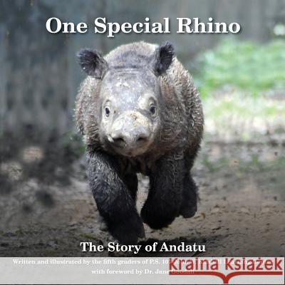 One Special Rhino: The Story of Andatu The Fifth Graders of P. S. 107 John W. K 9780692209189 Beast Relief