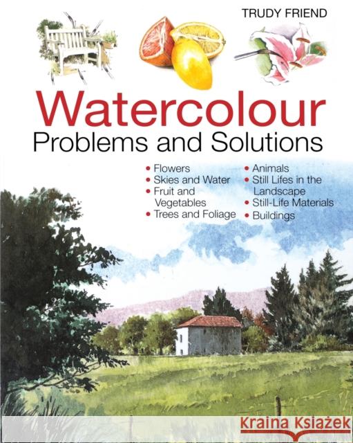 Watercolour Problems and Solutions: A Trouble-Shooting Handbook Friend, Trudy 9780715314579 David & Charles Publishers