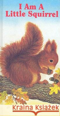 I Am a Little Squirrel Amrei Fechner Amrei Fechner 9780718829025 Lutterworth Press