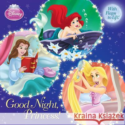 Good Night, Princess! Andrea Posner-Sanchez Random House Disney 9780736428514 Random House Disney