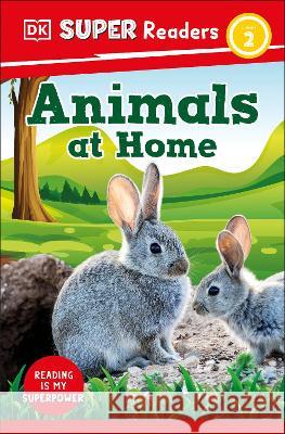 DK Super Readers Level 2 Animals at Home DK 9780744068054 DK Children (Us Learning)