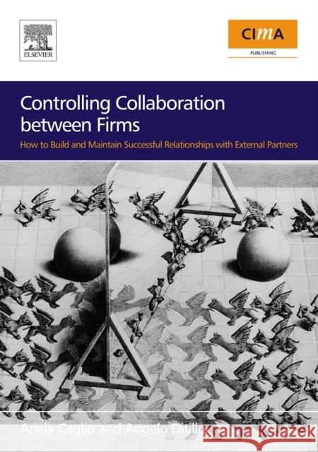 Controlling Collaboration Between Firms: How to Build and Maintain Successful Relationships with External Partners A Ditillo 9780750681315 0