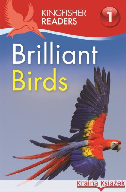 Kingfisher Readers: Brilliant Birds (Level 1: Beginning to Read) Thea Feldman 9780753436660 Pan Macmillan