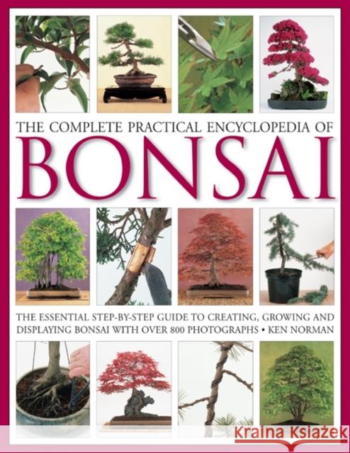 Complete Practical Encyclopedia of Bonsai Ken Norman 9780754821809 Anness Publishing