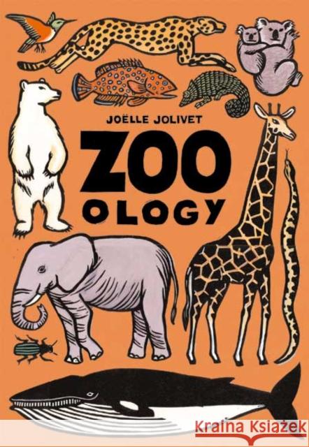 Zoo-Ology Joelle Jolivet 9780761318941 Roaring Brook Press