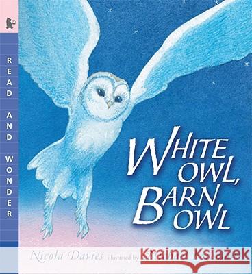 White Owl, Barn Owl: Read and Wonder Nicola Davies Michael Foreman 9780763641436 Candlewick Press (MA)