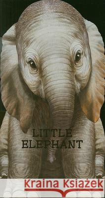 Little Elephant : Look at Me L. Rigo 9780764164262 Barron's Educational Series