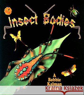 Insect Bodies Molly Aloian Bobbie Kalman 9780778723745 Crabtree Publishing Company