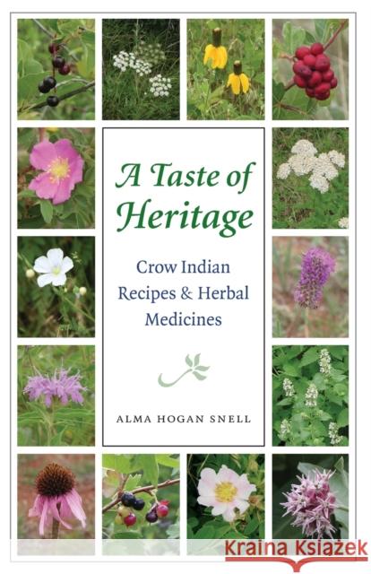Taste of Heritage: Crow Indian Recipes and Herbal Medicines Snell, Alma Hogan 9780803293533 Bison Books
