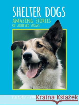 Shelter Dogs: Amazing Stories of Adopted Strays Peg Kehret, Greg Farrar 9780807573365 Albert Whitman & Company