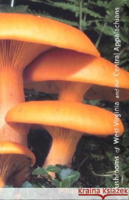 Mushrooms of West Virginia and the Central Appalachians William C. Roody 9780813190396 University Press of Kentucky