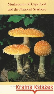 Mushrooms of Cape Cod and the National Seashore Arleen Raines Bessette Alan E. Bessette William J. Neill 9780815606871 Syracuse University Press