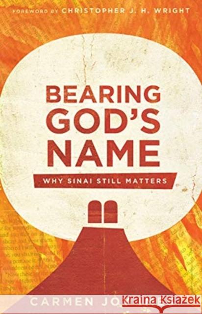 Bearing God's Name: Why Sinai Still Matters Carmen Joy Imes 9780830852697 IVP Academic