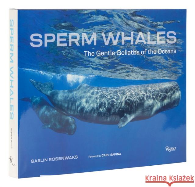 Sperm Whales: The Gentle Goliaths of the Ocean Gaelin Rosenwaks Carl Safina 9780847872329 Rizzoli International Publications