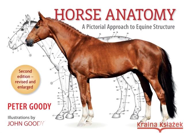 Horse Anatomy: A Pictorial Approach to Equine Structure Peter C. Goody 9780851317694 ROBERT HALE LTD
