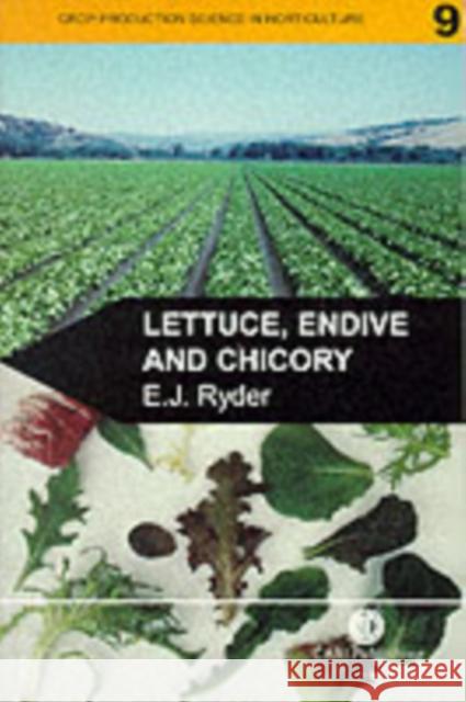 Lettuce, Endive and Chicory Edward J. Ryder E. J. Ryder 9780851992853 CABI Publishing