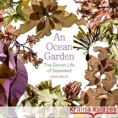 An Ocean Garden: The Secret Life of Seaweed Josie Iselin 9780870712395 Oregon State University Press