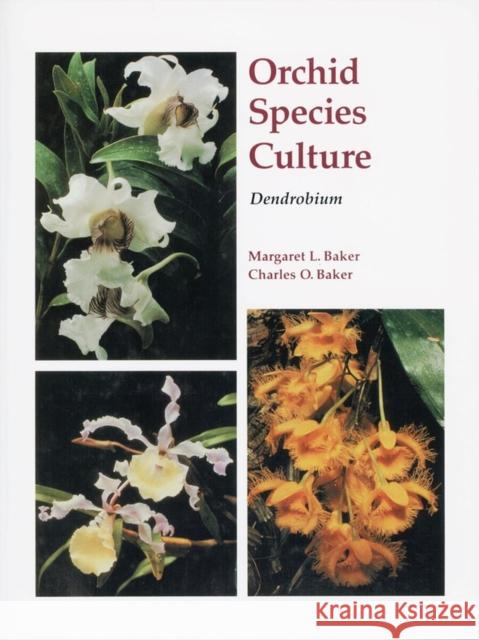 Orchid Species Culture: Dendrobium Baker, Margaret 9780881923667 Timber Press (OR)