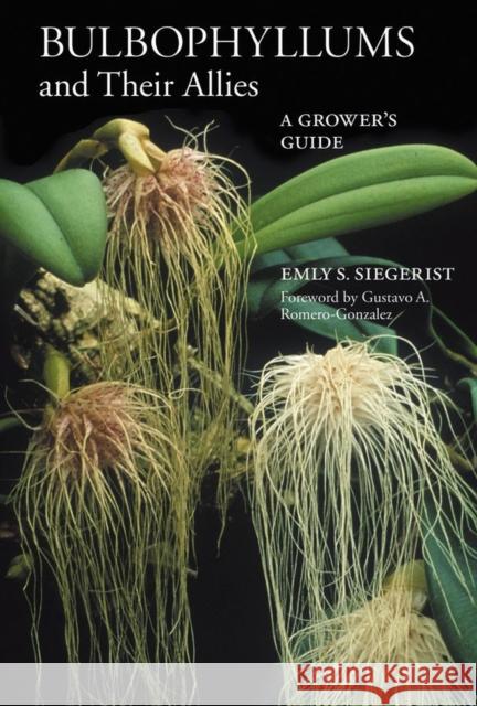 Bulbophyllums and Their Allies Emly A. Siegerist 9780881929843 Timber Press (OR)