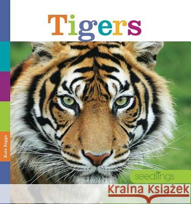 Tigers Kate Riggs 9780898128895 Creative Paperbacks