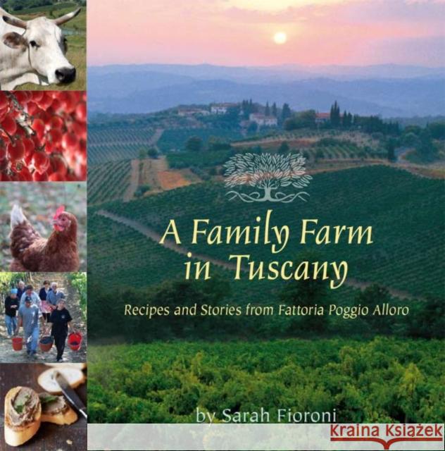 A Family Farm in Tuscany: Recipes and Stories from Fattoria Poggio Alloro Sarah Fioroni 9780940672833 Shearer Publishing