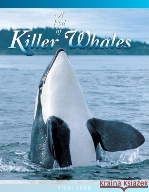 A Pod of Killer Whales: The Mysterious Life of the Intelligent Orca Vicki Leon 9780976613473 London Town Press