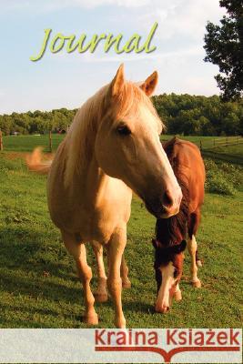 Horse Sense Journal Shannon C. Knapp 9780979404115 Horse Sense of the Carolina