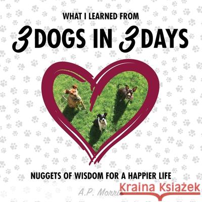 What I Learned from 3 Dogs in 3 Days: Nuggets of Wisdom for a Happier Life A P Morris 9780985489328 Synchronistic Books